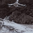 Excellent Dance Training Opportunity~ BOYS Class Tuesdays- 4:00pm to 5:00pm Ages 10 and up Excellent dance introduction, conditioning, strength training, & acro specifically geared toward boys. Contact the studio for...